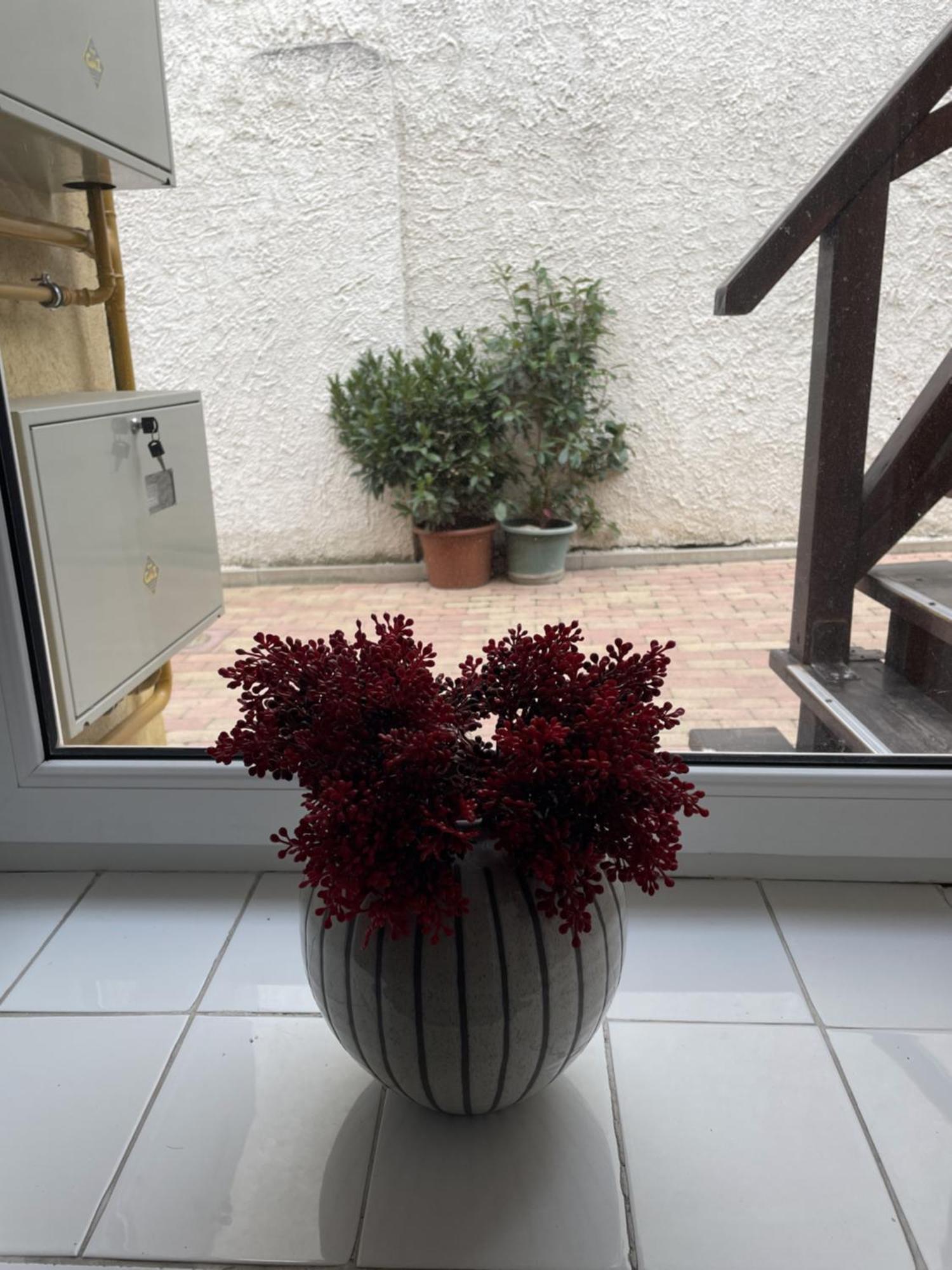 Takacs Vendeghaz 2 Apartment Sopron Exterior foto